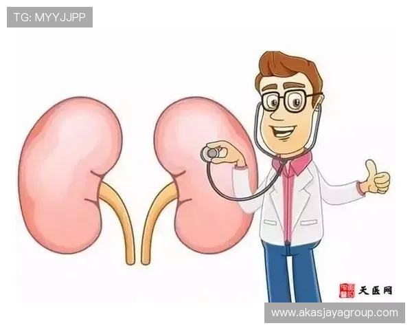 IM体育客户服务与技术支持:解决常见问题的实用技巧与联系方式 IM体育客户服务与技术支持:解决常见问题的实用技巧与联系方式