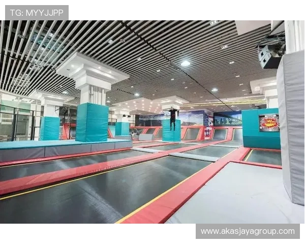 多米体育app官网未来发展规划与新功能预告，掌握最新动态把握体育娱乐潮流