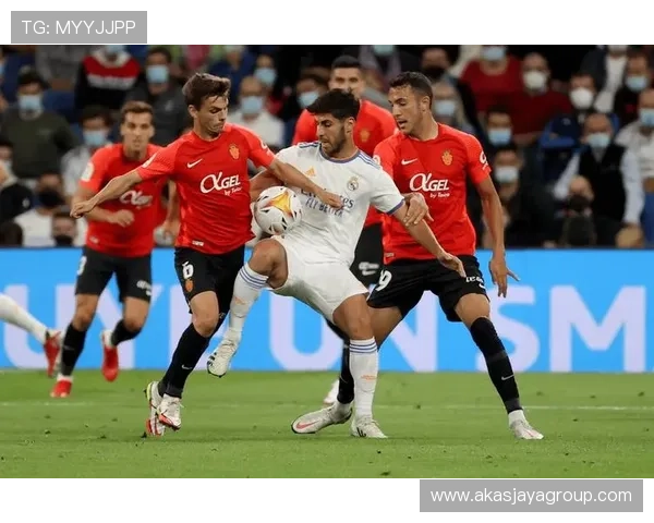 凯发足球官网网址官方平台详细介绍，助你轻松掌握足球赛事最新动态与投注技巧