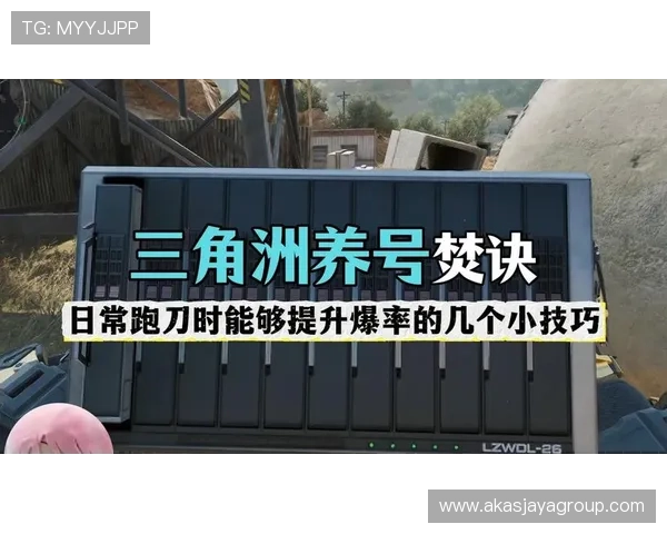 伟德官网账号安全防护措施提升账户安全的实用技巧